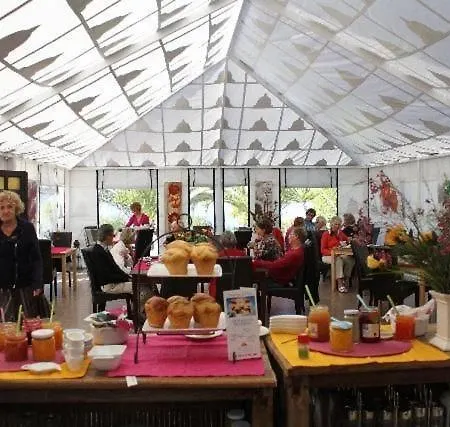 Modern Eingerichtete Leon Mit Terrasse Lägenhet *